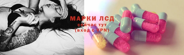 гидра Майский