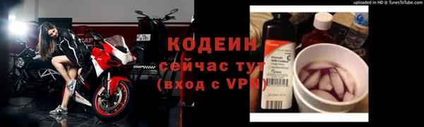 гидра Майский
