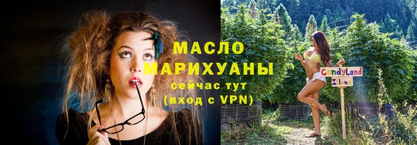 гидра Майский