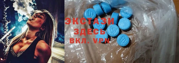 гидра Майский