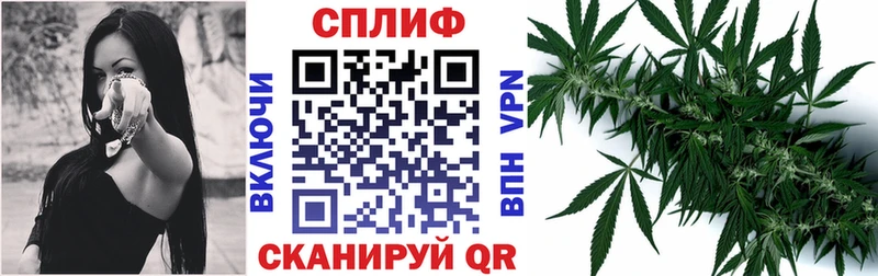 Канабис планчик Жиздра